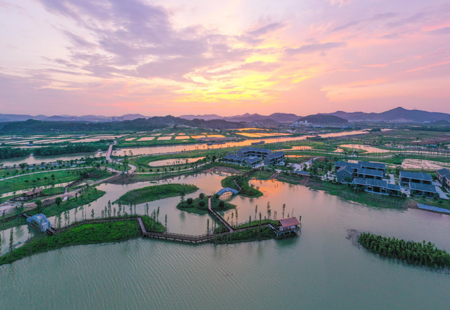 高水平的城市規(guī)劃建設(shè)水平。對標(biāo)最高最優(yōu)最好城市規(guī)劃，推進(jìn)城市綜合管廊、道路橋梁等基礎(chǔ)設(shè)施建設(shè)，城市功能不斷完善，城市景觀不斷美化，促進(jìn)城市集約高效和轉(zhuǎn)型發(fā)展，打造經(jīng)濟(jì)發(fā)展新動(dòng)力。圖為翠亨國家濕地公園。