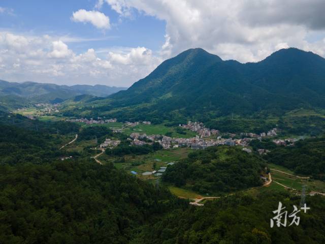羅定市龍灣鎮(zhèn)萬畝南藥種植示范基地。  