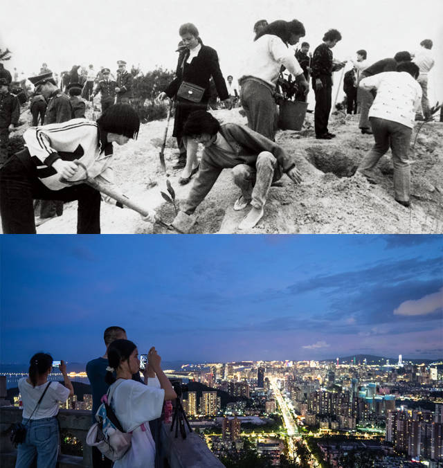 上圖：1985年，全市機(jī)關(guān)干部義務(wù)在板樟山上植樹；下圖：2020年，傍晚，市民和游客在板樟山上乘涼看風(fēng)景