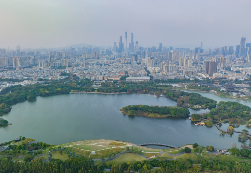 5月22日是國(guó)際生物多樣性日。濕地具有涵養(yǎng)水源、調(diào)節(jié)氣候、維持碳循環(huán)等極為重要的生態(tài)功能，是生物多樣性的重要發(fā)源地之一?；浉郯拇鬄硡^(qū)擁有多個(gè)濕地公園，優(yōu)質(zhì)的生態(tài)環(huán)境為各種生物提供了生存繁衍空間，對(duì)維護(hù)生物多樣性起到積極意義。廣州海珠國(guó)家濕地公園是全國(guó)特大城市中心區(qū)域面積最大的濕地公園，目前濕地率達(dá)79.4%，鳥類種類從72種增加到187種，昆蟲種類從66種增加值738種，魚類從36種增加到64種。圖為廣州海珠濕地公園。