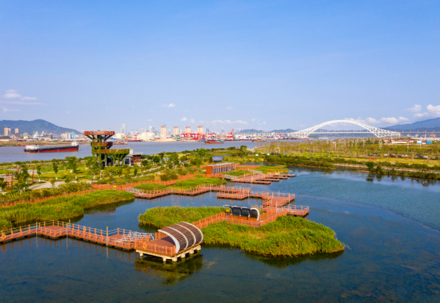 遠(yuǎn)眺芒洲濕地公園，滿眼翠綠，公園四周環(huán)繞一圈花草樹木，中間是水塘和綠洲，一些綠洲之間連接著紅色的棧道和浮橋，不遠(yuǎn)處的洪鶴大橋橫空而過(guò)。水塘邊生長(zhǎng)著眾多紅樹林植物和大片的蘆葦，許多鳥類在此棲息、繁衍，這是橫琴鳥類的“天堂。圖為珠海橫琴芒洲濕地公園。