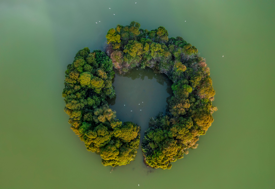 佛山三水云東海國(guó)家濕地公園坐落于珠三角腹地，總面積超過(guò)400公頃，是佛山市國(guó)家森林城市建設(shè)的重點(diǎn)工程，也是佛山市濕地體系中“三江匯流”保育區(qū)的濕地生態(tài)景觀核心和珠三角地區(qū)鳥類遷徙的重要節(jié)點(diǎn)。湖水瀲滟、植被茂盛，月亮湖湖心環(huán)形小島吸引了上千只鷺鳥在此集聚棲息。圖為佛山三水云東海國(guó)家濕地公園。