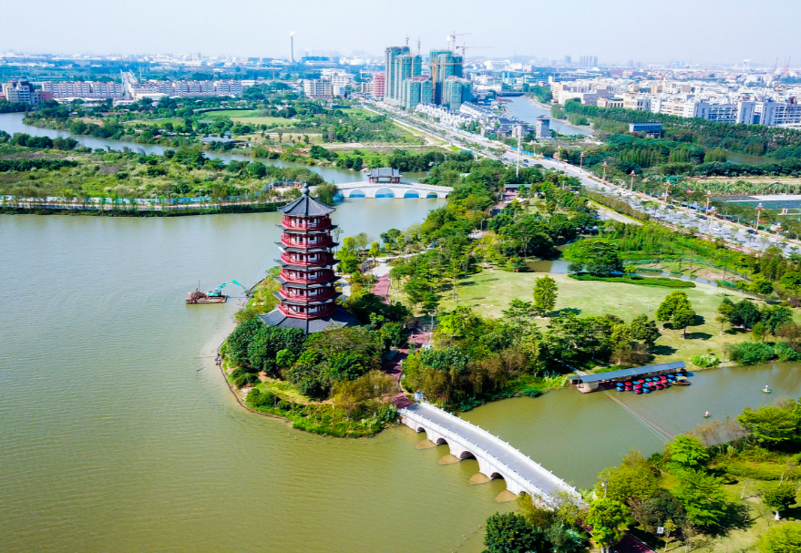 在東莞，華陽(yáng)湖經(jīng)過(guò)數(shù)年整治，完成了從“污染重災(zāi)區(qū)”到“濕地公園”的美麗蛻變，東莞麻涌華陽(yáng)湖國(guó)家濕地公園更是以優(yōu)美的風(fēng)光和環(huán)境成為了東莞旅游的一張亮麗名片，吸引了白鷺、夜游鶴、野鴨等一大批水鳥重歸這片棲息地。圖為東莞麻涌華陽(yáng)湖國(guó)家濕地公園。