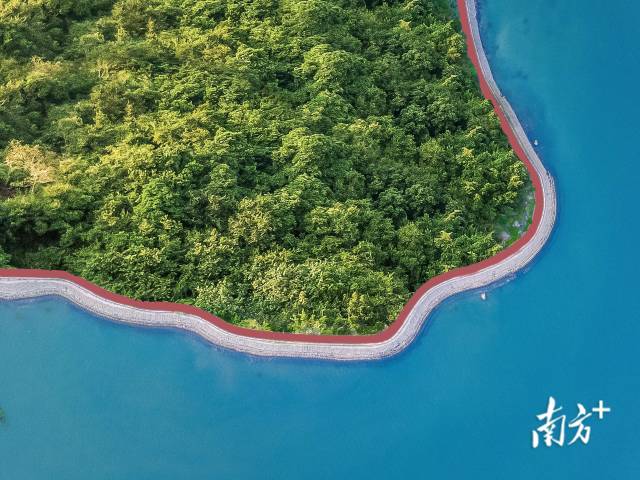 小桂綠道。大亞灣開發(fā)區(qū)供圖