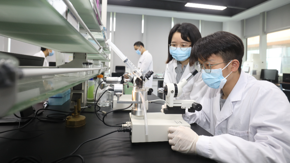 最高1億元項目資助、保障子女教育！橫琴出臺人才新政