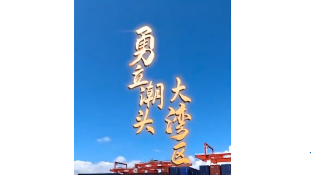 勇立潮頭大灣區(qū)丨震撼！看廣州南沙港智慧碼頭“隔空取物”