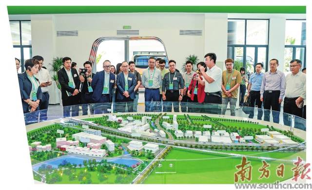 港商在大灣區(qū)農(nóng)產(chǎn)品基地考察基地建設(shè)發(fā)展情況。受訪者供圖
