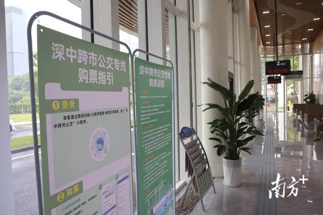 深中跨市公交專線購(gòu)票指引。 南方+ 葉志文 拍攝