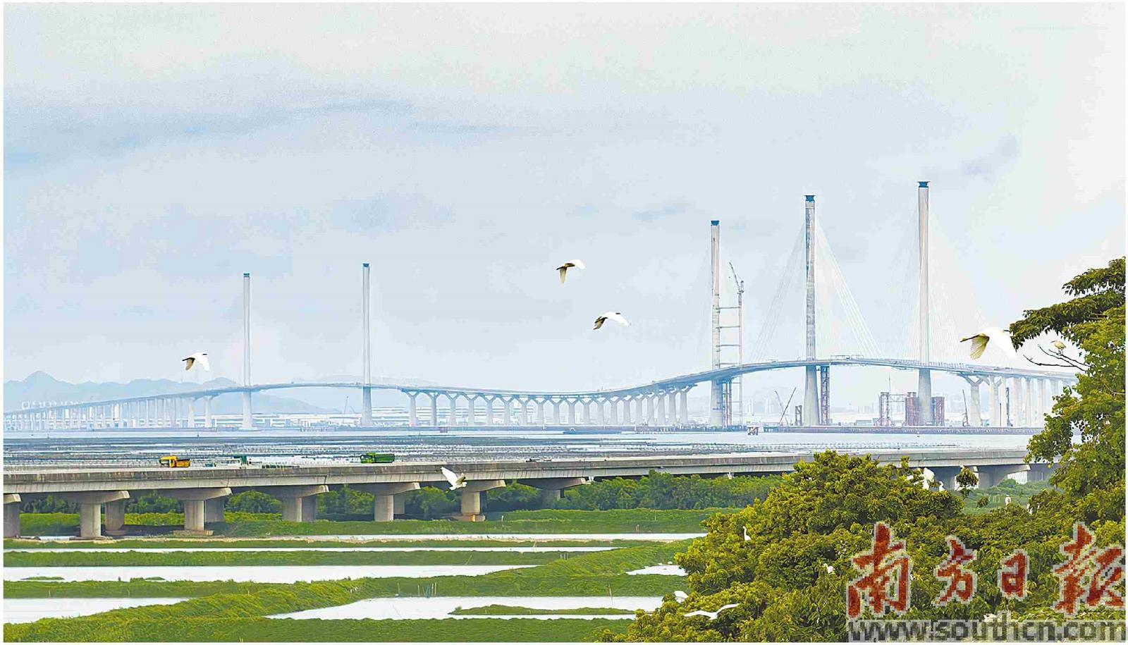 黃茅?？绾Ｍǖ李A(yù)計(jì)11月底驗(yàn)收.png