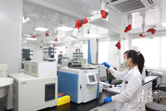 目前，廣東擁有藥品生產(chǎn)企業(yè)684家、醫(yī)療器械生產(chǎn)企業(yè)5052家，數(shù)量均居全國第一。圖為研發(fā)人員在實驗室中工作。張令 攝