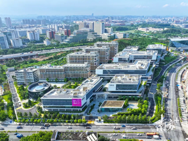香港城市大學(xué)（東莞）