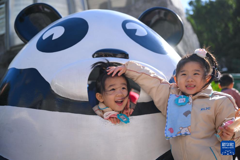 11月29日在澳門石排灣郊野公園大熊貓館外拍攝的澳門幼兒園小朋友。