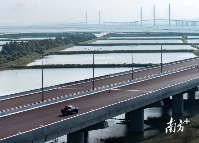 9月27日，黃茅海跨海通道上，馬倩倩正在開車前往施工地點(diǎn)。