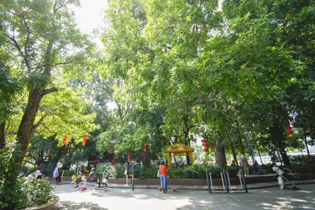 肇慶端州區(qū)人均公園面積位居全省前列。黃詠欣 攝 肇慶端州區(qū)人均公園面積位居全省前列。黃詠欣 攝