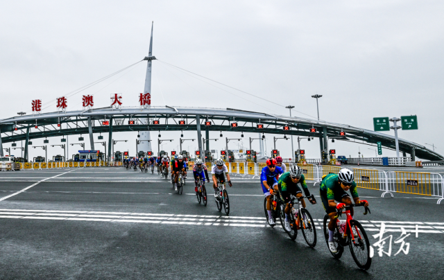 2024粵港澳公路自行車賽，選手們途經(jīng)港珠澳大橋。南方+記者 錢文攀 攝