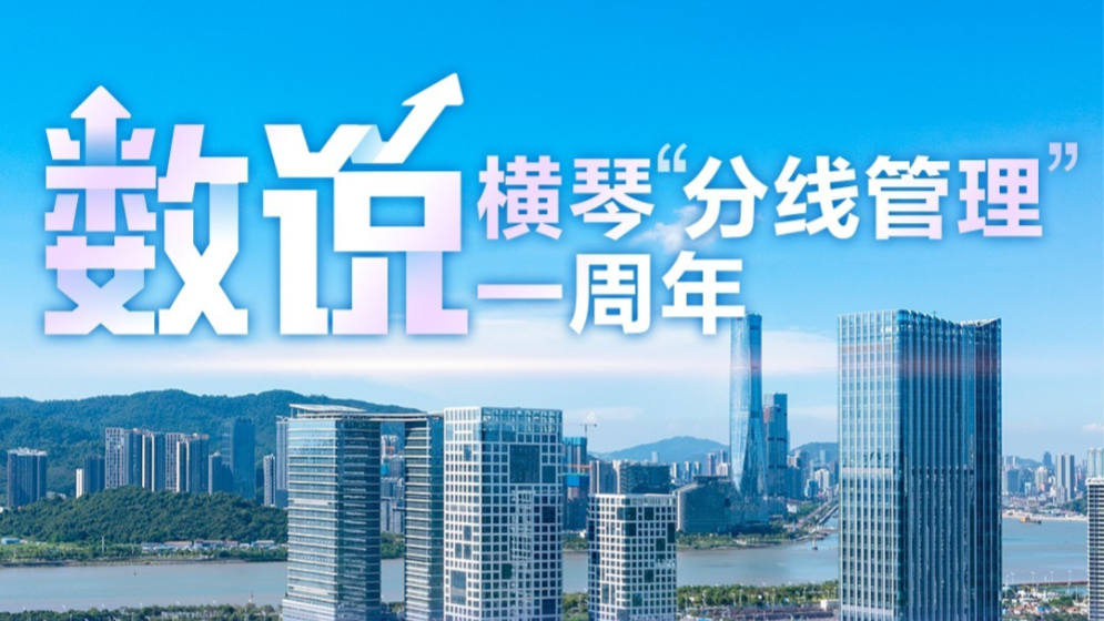 “分線管理”一周年，橫琴變了什么？