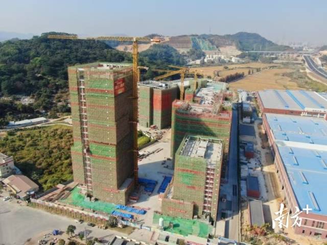 位于中山市南朗街道華照村的西灣清潔能源產業(yè)園。梁詩婷 攝