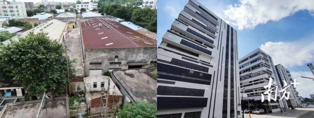 中山市小欖鎮(zhèn)永寧社區(qū)華中路工業(yè)園改造前后對比。資料圖片