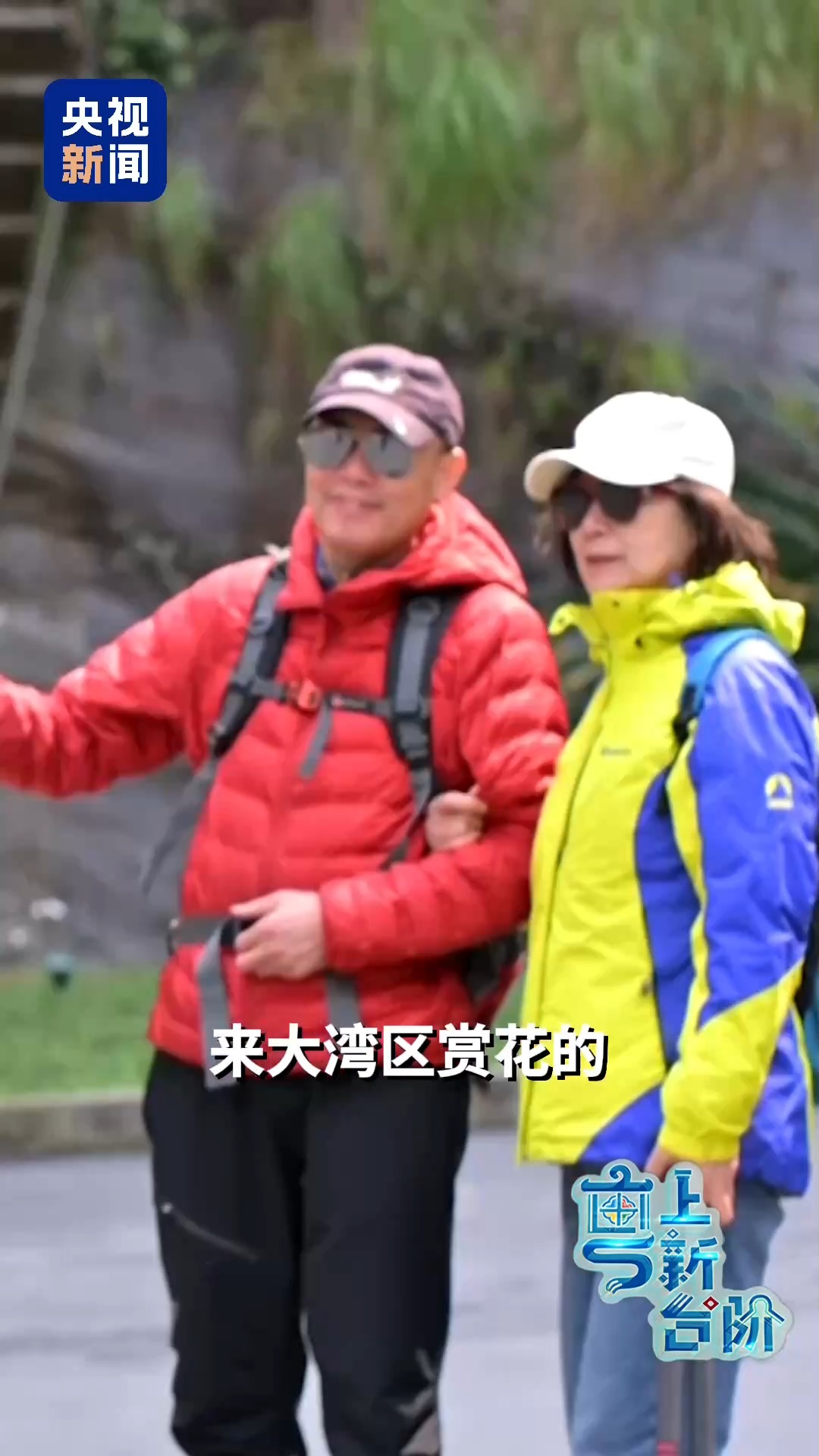 一趟由北向南開行的列車同時“驚動”了京津冀和粵港澳大灣區(qū)兩大經(jīng)濟(jì)圈。