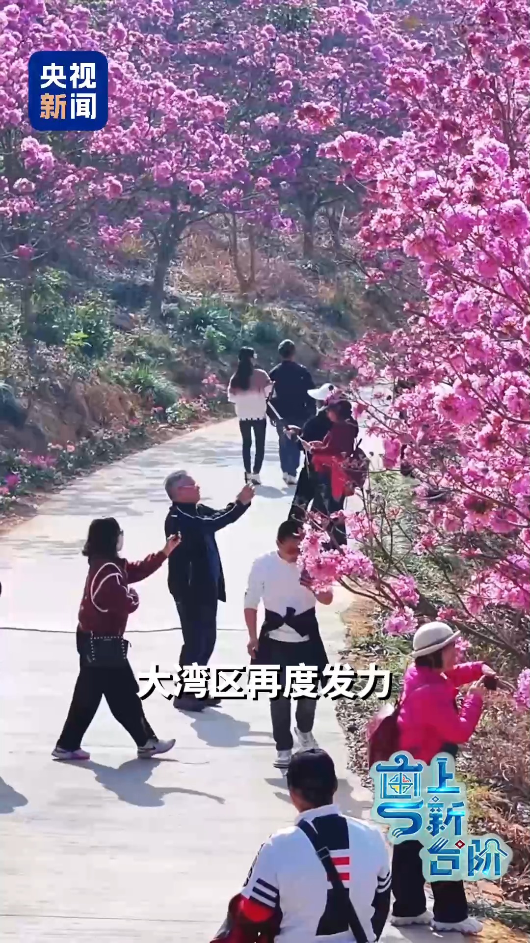 一趟由北向南開行的列車同時“驚動”了京津冀和粵港澳大灣區(qū)兩大經(jīng)濟(jì)圈。