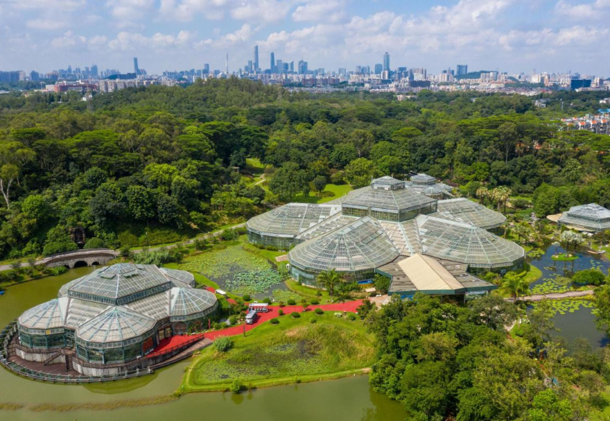 華南國(guó)家植物園作為珍稀瀕危植物的“諾亞方舟”，一直致力于植物遷地保育，核心功能區(qū)規(guī)劃總面積319公頃，是我國(guó)國(guó)家植物園體系的重要組成部分?！吨Z亞方舟》徐吳攝　　圖片來(lái)源：靈動(dòng)灣區(qū)——生物多樣性攝影展