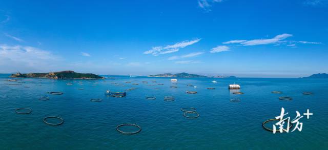 萬山群島海洋牧場。