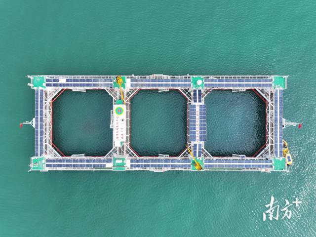 空中俯瞰“格盛一號”海洋牧場。