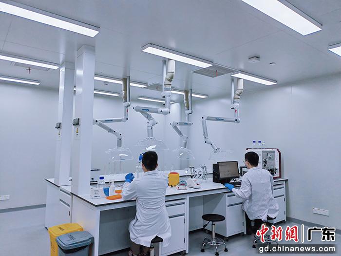  在“灣有引力”實(shí)驗(yàn)室工作中的科研團(tuán)隊(duì)。受訪者供圖