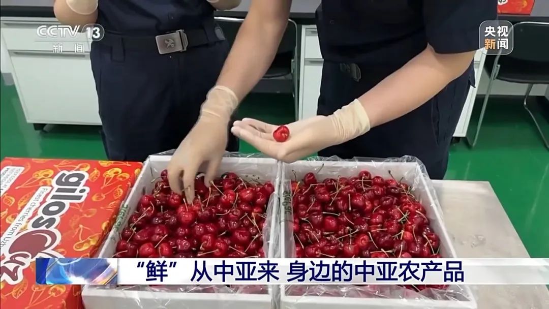 “鮮”從中亞來 身邊的中亞農(nóng)產(chǎn)品