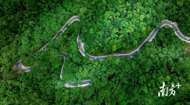 環(huán)南昆山—羅浮山引領(lǐng)區(qū)218公里最美旅游公路。
