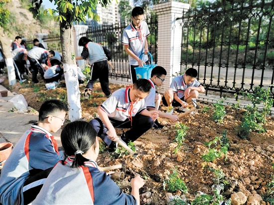 棠下初級中學(xué)學(xué)生在“百草園”種植中草藥。