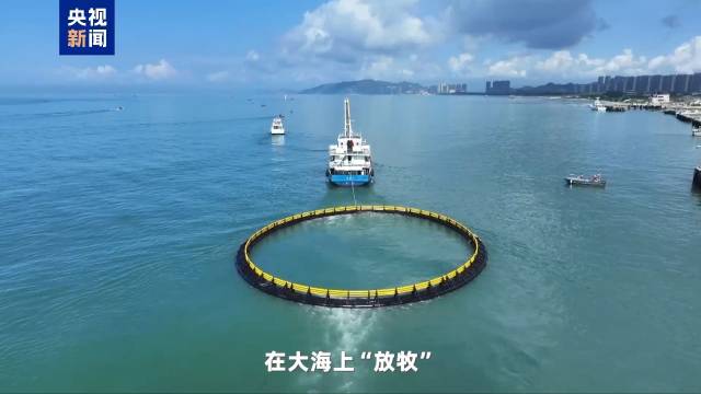 廣東海洋經(jīng)濟(jì)