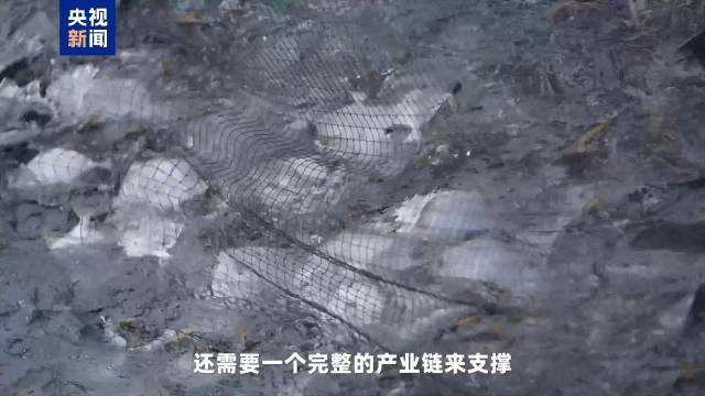 深海養(yǎng)魚