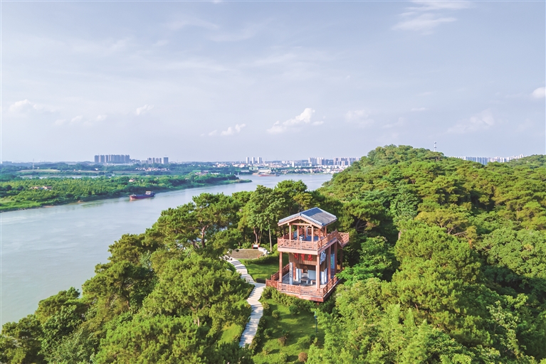 在三水江根村可飽覽“三江匯流”奇景。