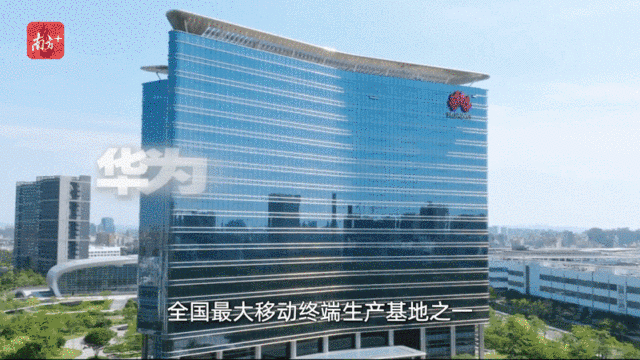    “創(chuàng)新全運(yùn)會(huì)”鳴哨，11城接力新質(zhì)火炬