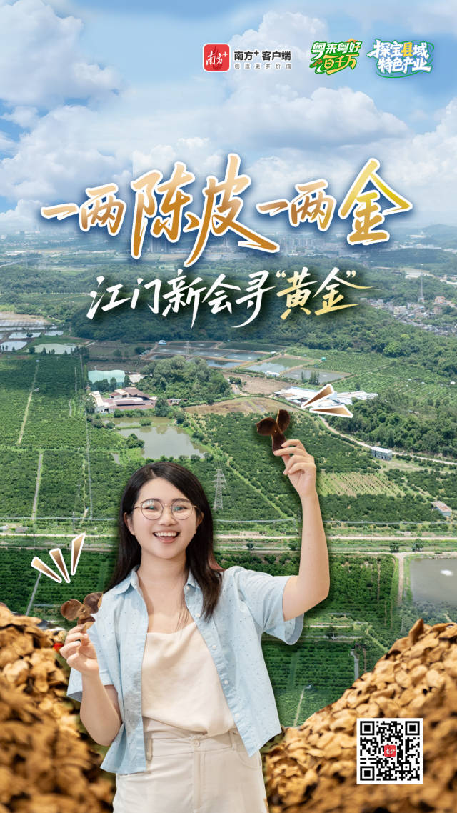 產(chǎn)值近280億元，江門新會陳皮為何貴如“黃金”？