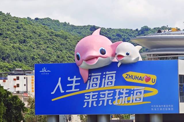 位于珠海機(jī)場(chǎng)的巨型中華白海豚藝術(shù)裝置。 通訊員 供圖
