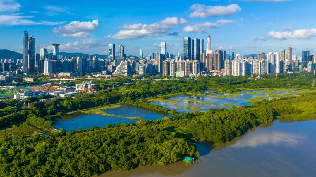 深圳